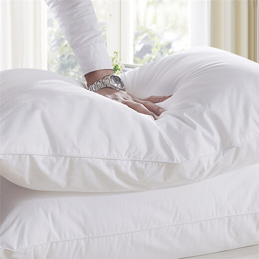 Koala Forest Bedding Home Textile Pillow Core Soft Fiber Pillow Twin Pack