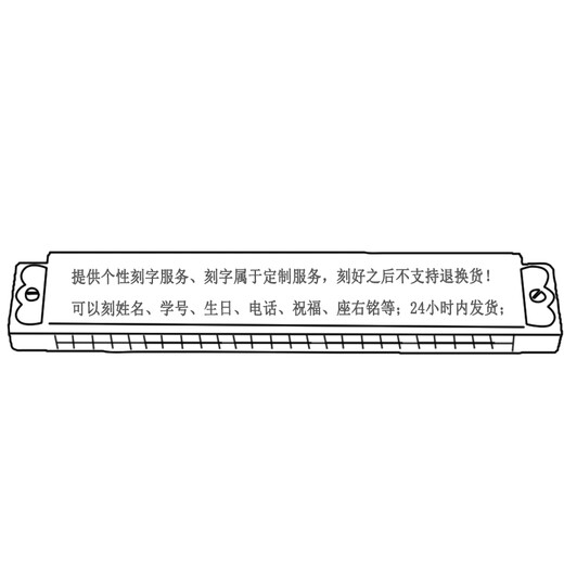 通宝（TOMBO） 24孔复音口琴6624系列学生儿童初学者入门数字音标款 便于找音阶 6624S 高级款带数字音标