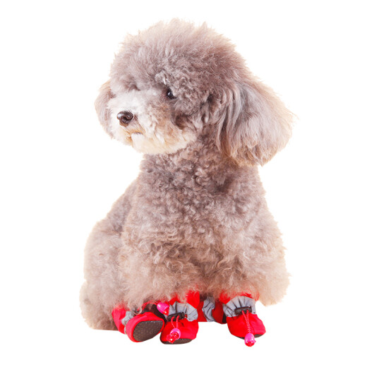 Hanhan Paradise Pets Walking Dog Shoes Supplies Dog Clothes Non-Slip Wear-Resistant Waterproof Dog Rain Shoes Teddy Bichon Small Dog Soft Soled Boots Dog Shoes Dog Foot Covers Red No. 5
