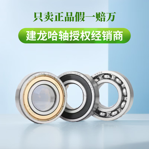 HRB哈尔滨深沟球轴承6206 6207 6208 6209 6210 6211 2Z -2RZ 6210-2Z铁盖 其他