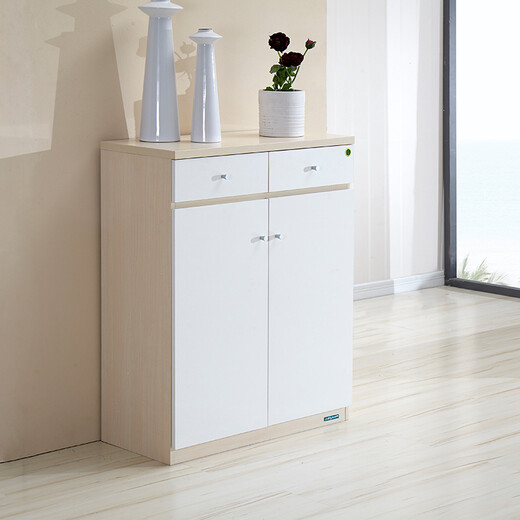 Quanyou Home Shoe Cabinet with door sundry storage floor-standing low cabinet against the wall entrance hall living room multi-layer organizer drawer storage cabinet shoe cabinet