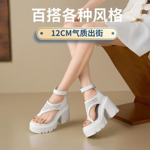 唐递12CM超高跟走秀时装靴夏季编织缕空松糕凉靴女小个子表演靴洞洞靴 浅金色 T16856 33