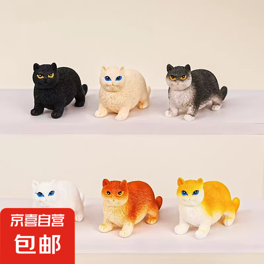 Mignon mini mignon animal de compagnie Cat de résine tridimensionnelle de petits ornements de dessin animé poupée petits ornements décoration de bureau ornements aléatoire 1 paquet