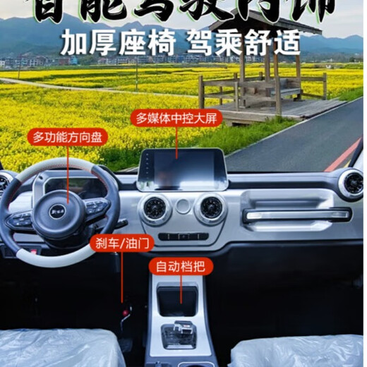 Yiduo's new electric pickup truck Laotou Le gas-electric dual-purpose large load-bearing low-speed new energy vehicle truck basic model - five batteries 60V70A