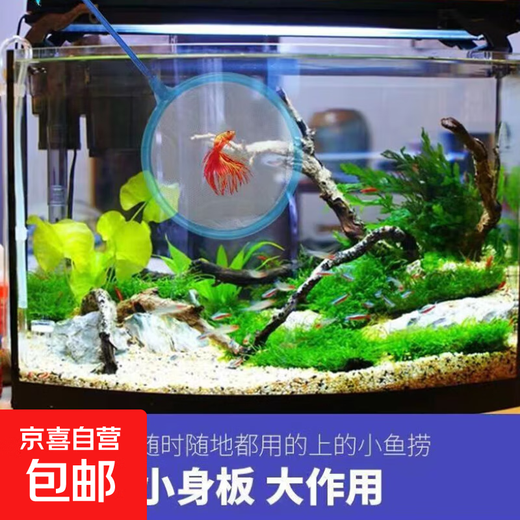 Fish tank fishing net, fish and shrimp fishing dense net, handmade net, household retractable fishing net, fishing net, parent-child family toy, medium size 1