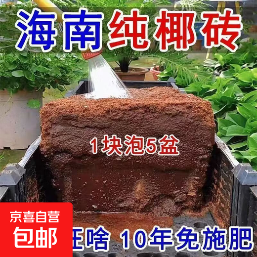 High foaming coconut brick nutritious soil compressed coconut bran desalination general soil for growing vegetables and flowers planting large pieces of coconut bran soil 4 coconut bricks high quality/high nutrition/high foaming