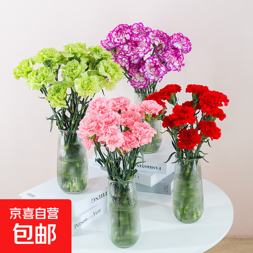 Clavel flores frescas cortadas Flores de Yunnan cabello liso arreglo floral criado en agua en casa Ramo del Día de la Madre 2 claveles de un solo color al azar 10 ramas