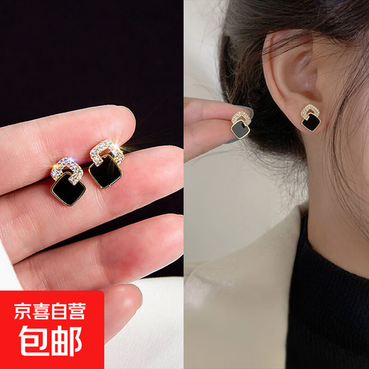 S925 silver needle double square black stud earrings female style small light luxury earrings niche design western style earrings main picture