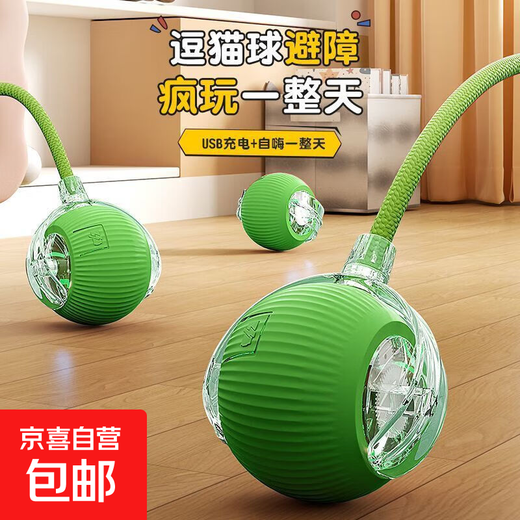 Jingdong Express Dog Toy Self-Enjoyment and Boredom Relief Intelligent Cat Funny Ball Automatic Cat Funny Stick Walking Cat and Dog Pitch Ball Upgraded Smart Ball Green