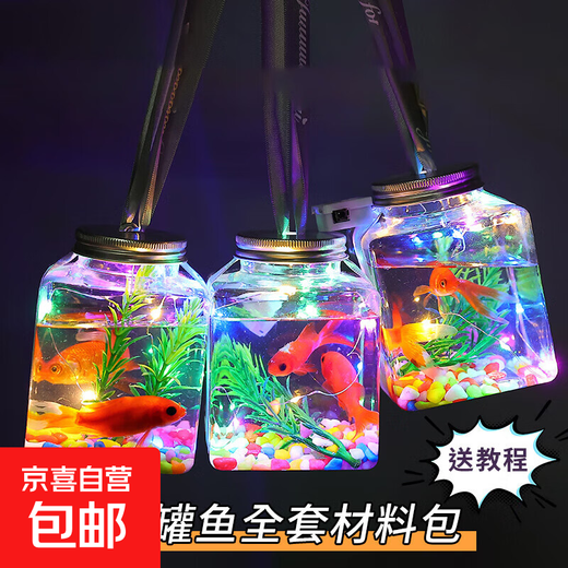 Canned fish stall artifact 500ml Internet celebrity square luminous small goldfish tank night light night market stall betta fish tank Square canned fish 1 set (5-piece set, fish not included)