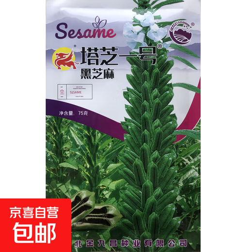 Black sesame seeds, white sesame seeds, oil extraction, Academy of Agricultural Sciences hybrid, high oil, stable yield, short stems, eight-edge seed base special Tazhi No. 1 black sesame seeds, original 75g