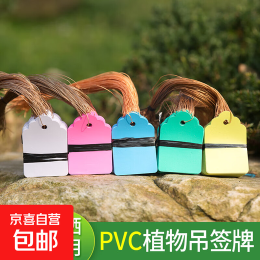 Petite étiquette expérimentale en plastique pour plante verte et fleur, étiquette étanche pour semis de jardinage, plante d'orchidée, 5x7, rose, 100 feuilles