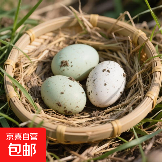 Duck eggs fresh raw duck eggs 50-60g native duck eggs farm-raised free-range white-skinned green-skinned duck eggs whole box wholesale 10 pieces Duck eggs fresh raw duck eggs 50-60g native duck eggs farm-raised free-range white-skinned green-skinned duck eggs whole box wholesale 10 pieces