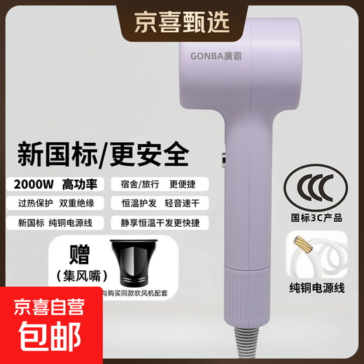 GUANGBA New National Standard Plasma Hair Dryer Hair Care Silent Quick-drying Anti-static Smooth Hair Dryer Hairstylist Special Barber Shop Home Quick-drying Negative Ion Hair Care Hair Dryer Lavender Purple New National Standard Safer 2000W + Styling Nozzle 1.8M Pure Copper Power Cord