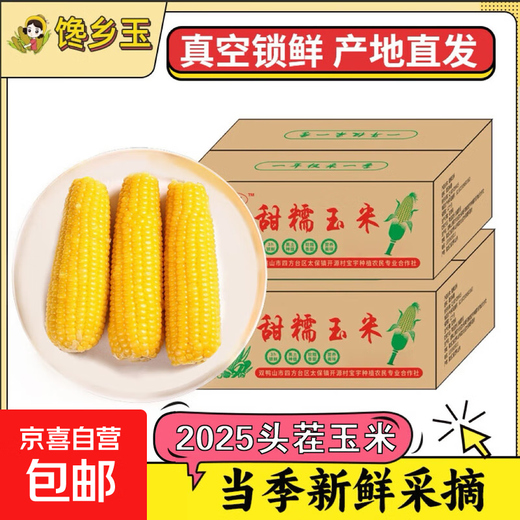 Kaiyuan Baofeng New Northeast Yellow Waxy Corn on the Cob Vacuum-packed Yellow Waxy Corn Fresh First-Stubble Breakfast Meal Replacement 4 first-crop yellow waxy corn average weight >180g