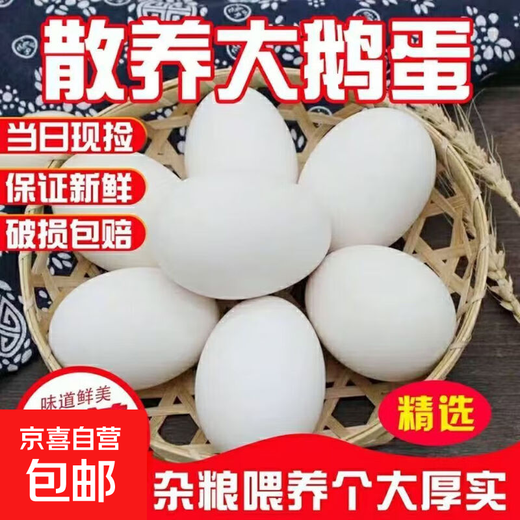Authentic local goose eggs, fresh farm-raised free-range goose eggs, large goose eggs, nourishing breakfast for pregnant women and babies, fresh JD.com 12 pieces, 120-140g, large ones, hot-selling Authentic local goose eggs, fresh farm-raised free-range goose eggs, large goose eggs, nourishing breakfast for pregnant women and babies, fresh JD.com 12 pieces, 120-140g, large ones, hot-selling