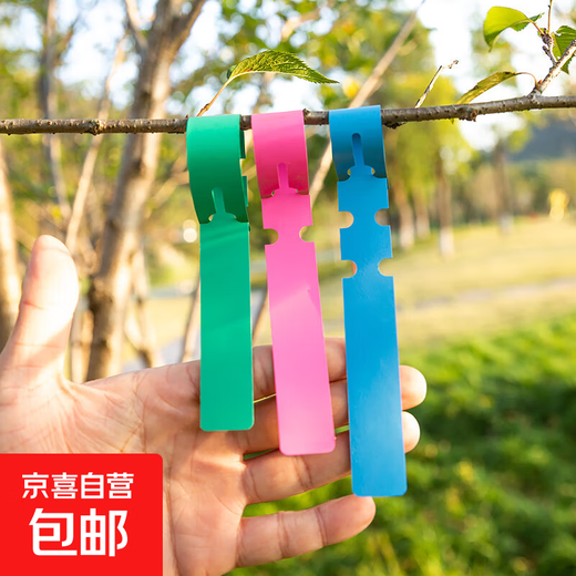 PVC ring label sapling succulent label flower gardening label plant label buckle sign gardening supplies red 1000 sheets