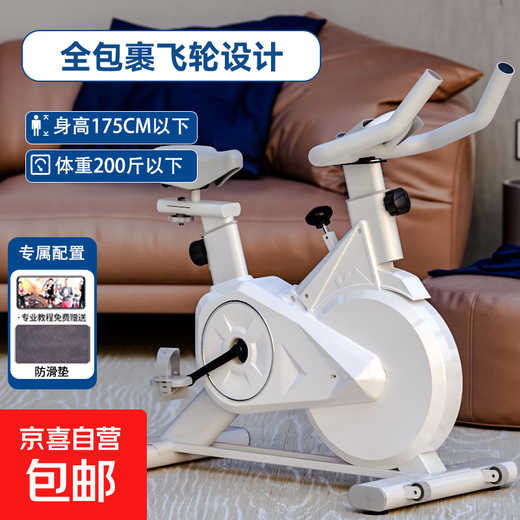 Konais Spinning Bike Home Indoor Exercise Equipment Silent Weight Loss Fat Burning Body Shaping Exercise Bike White All-Inclusive Anti-Slip Mat
