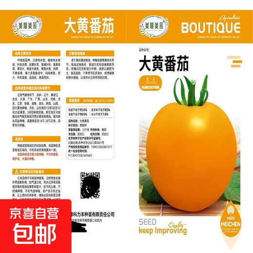 Rhubarb persimmon seeds, yellow tomato seeds, yellow imperial concubine tomato seeds, Northeast large fruit spring vegetable seeds, rhubarb tomato seeds/pack, about 200 capsules, 2 packs