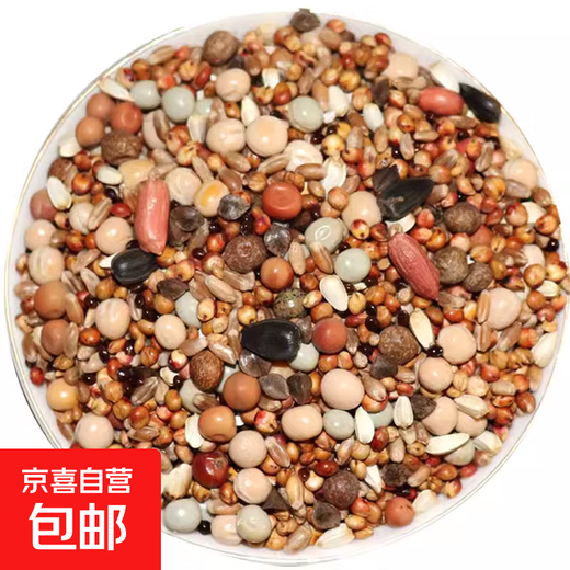 Other horticultural high-quality nutritious pigeon food, meat pigeons, ornamental pigeons, homing pigeons, racing pigeons, Yuanbao pigeons, young pigeon feed, breeding pigeons, pigeon food without corn, 10 Jin Jin is equal to 0.5 kg