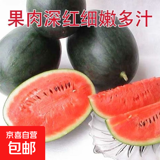 Fruit set, strawberry, cherry tomatoes, croissant, honey, watermelon, balcony potted farmhouse garden melon seeds, various varieties, Black Beauty watermelon seeds, 2 packs, about 100 seeds