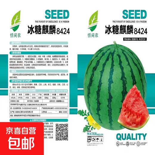 8424 Kirin small-seeded watermelon seeds, seedless, extra large, high-yielding, giant sweet king, southern four-season vegetable and fruit seeds. 8424 watermelon seeds/pack, about 50 pieces, 3 packs