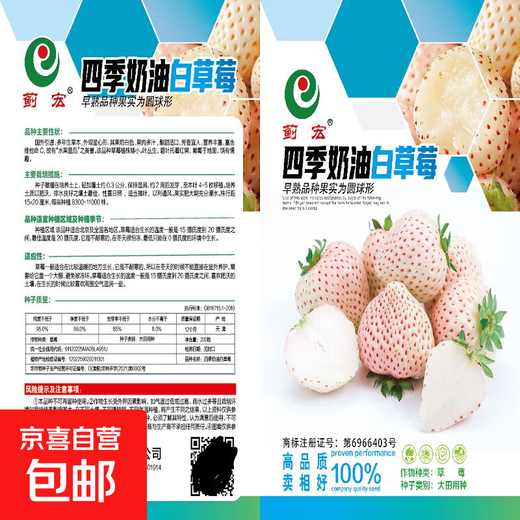 Creamy white strawberry seeds, four-season white strawberry seeds, vegetable seeds, red-faced family potted plants, balcony planting, creamy white strawberry seeds/pack, about 100 capsules, 3 packs