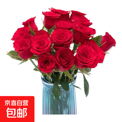 Roses Special Price Yunnan Flowers Direct Delivery Festival Flower Gift Bouquet Water-raised Flower Arrangement Chinese Valentine's Day Gift 10 Plateau Red Roses