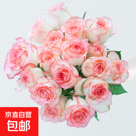 Exclusive for live broadcast: 10 Aisha roses (iron-headed large bud roses) (length 45-60CM) 1 serving