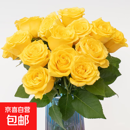 10 roses Yunnan flowers straight hair holiday flowers gift bouquet home Valentine's Day gift New Year decoration 10 yellow roses