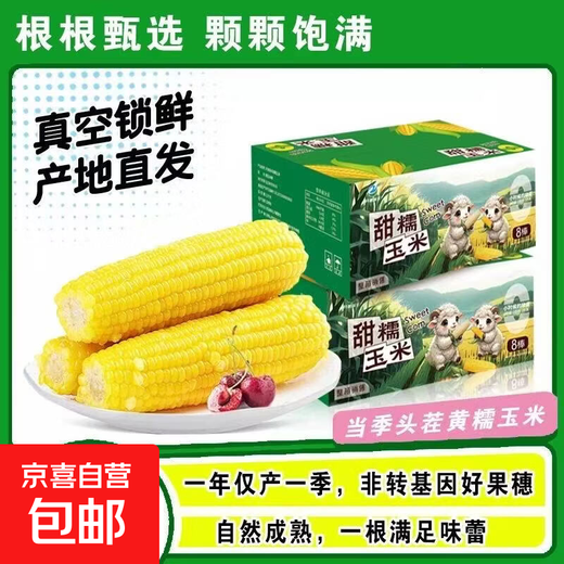 Kaiyuan Baofeng New Northeast Yellow Waxy Corn on the Cob Vacuum-packed Yellow Waxy Corn Fresh First-Stubble Breakfast Meal Replacement 4 first-crop yellow waxy corn average weight >180g