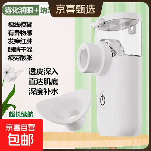 Fukong Portable Nano Spray Moisturizer Sprayer Oxygen Injection Portable Facial Moisturizing Small Facial Steamer Facial Steamer Cold Spray Handheld Humidifying Beauty Device White Nano Moisturizer + Mist Eye Moisturizer