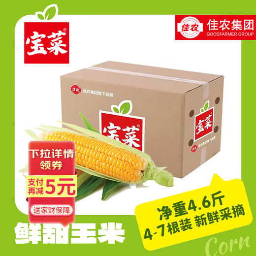 Good Farmer Baocai Shandong Fresh Fruit Corn Single Root 275g + Fresh, Sweet and Juicy 4-7 Roots Net Weight 4.6 Jin Jin equals 0.5 kg Straight from the source