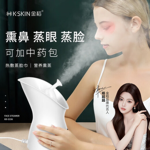 Golden Rice Hot Spray Facial Steamer Replenishing Moisture Facial Steamer Nano Sprayer Home Facial Beauty Instrument Facial Humidifier Smoky Face Steamer Open Pores Traditional Chinese Medicine Facial Steamer Girl Gift Ivory White