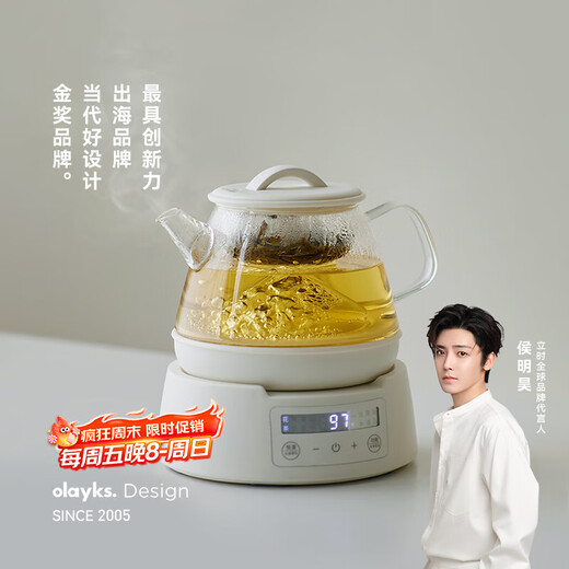 Olayks instant pure titanium health pot teapot steaming teapot teapot spray type mini small one person mother and baby grade material girl gift