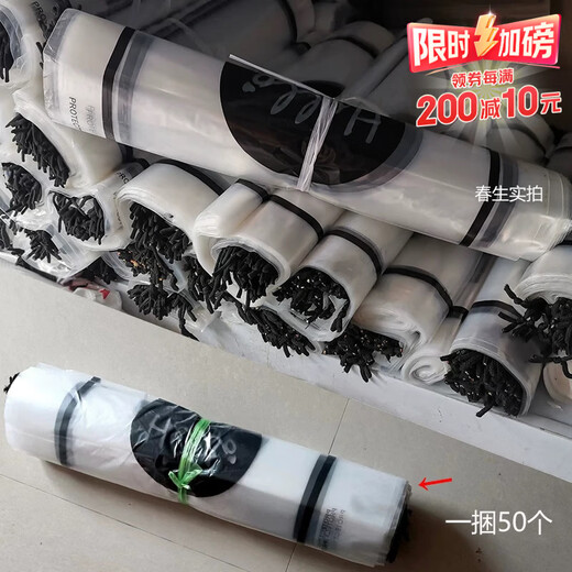 He Jiagong Household Transparent Drawstring Waterproof Storage Bag Summer Cooling Quilt Clothes Organizing Four-piece Set 35x45cm 10 Transparent Bags