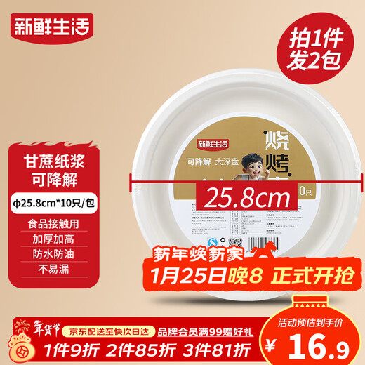 Fresh Life Disposable Dinner Plate Food Grade Medium Deep Dish Dinner Plate Camping Tableware Sugar Cane Pulp Biodegradable Large Paper Plate 20 pcs