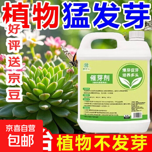 Plant bursting buds, buds, succulent leaf inserts, germination promotion, household flower growing fertilizer, old pile plant clear leaf fertilizer, old pile dry yellow leaves first aid, new buds grow, 2 barrels 5000ml