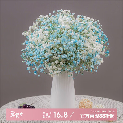 AIMAN dried baby's breath bouquet for home decoration, living room and bedroom decoration, flower arrangement, eternal freshness, birthday gift with vase, white + blue baby's breath, including newspaper + ribbon, dried flower bag
