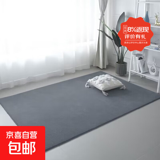 Carpet bedroom bedside thickened modern simple living room coffee table mat short pile high elastic children's blanket washable full floor dark gray (washable) 140*200cm