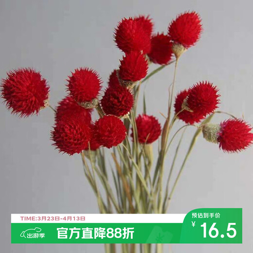 AIMAN dried flowers eucalyptus leaves Nordic style ins Nordic style small fresh living room ornaments diy home decoration ornaments SN strawberry fruit red 20 pieces without bottle