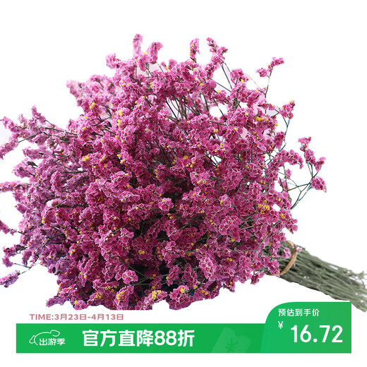 AIMAN Yunnan Forget-Me-Not Real Flowers Dried Flower Bouquet Home Furnishings Small Fresh Living Room Gypsophila Flower Arrangement Theory Jin Jin is equal to 0.5 kg. Sell a bouquet of red crystal flowers and dry branches.
