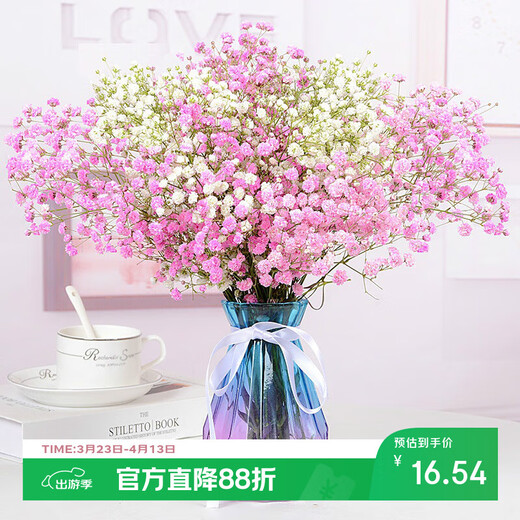 AIMAN Gypsophila Natural Dried Flower Bouquet Ins Internet Celebrity Birthday New House Decorative Ornaments Air-Dried Real Flower Arrangements Home Furnishings White + Pink Gypsophila Without Vase