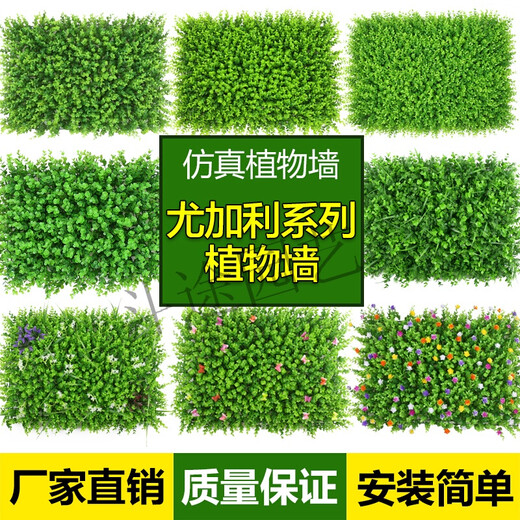 Doutu Gardening Green Plant Wall Simulation Plant Turf Wall Decoration Indoor Background Flower Wall Green Wall Hanging Plastic Fake Lawn Door Head 247 Eucalyptus
