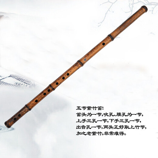 Mr. Guanzi ist spezialisiert auf das Spielen der Flöte mit fünf Sektion Purple Bambusflöte, Anfänger-Prüfung für Anfänger des alten Stils für Anfänger.
