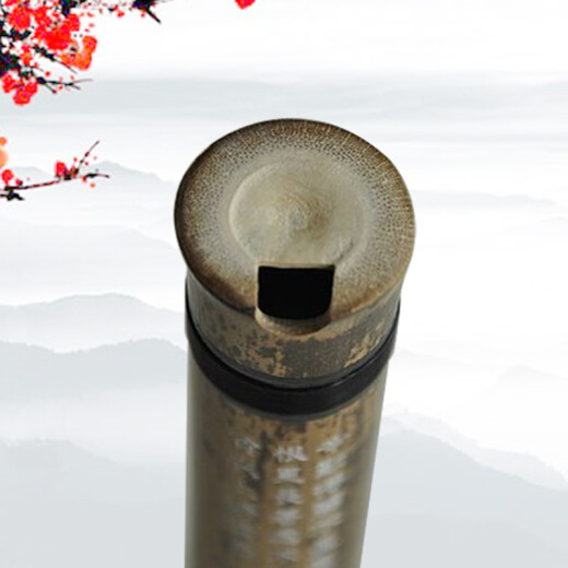 管子先生一节精品紫竹洞箫手工八孔紫竹箫成人初学入门演奏素箫洞萧民乐器 一节八孔G调正手+箫包
