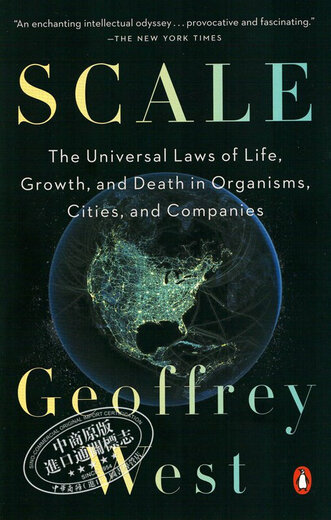 预售 规模：复杂世界的简单法则 英文原版 Scale  王小川、万维钢、尼尔·弗格森等联名推荐
