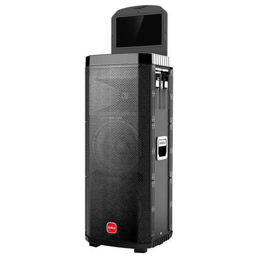 WANLIDA (Malata) Audio Outdoor Conférencier Outdoor Mobile Professional Stage Audio 9500 Square Dance Karaoke Bluetooth Subwoofer En haut-parleur Actif Wireless Enceinte Pleurer Z212