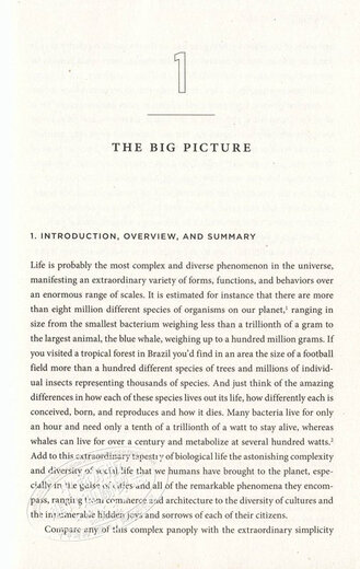 预售 规模：复杂世界的简单法则 英文原版 Scale  王小川、万维钢、尼尔·弗格森等联名推荐