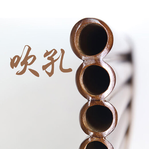 Qibaoju Anfänger Professionelle Pfanne Flöte 22 Röhren spielen Pan Flöte 15-Tonne Pan Flöte Nationales Instrumenten Training Unterrichten Studenten Pan Flöte 22 Tube G-Melodie